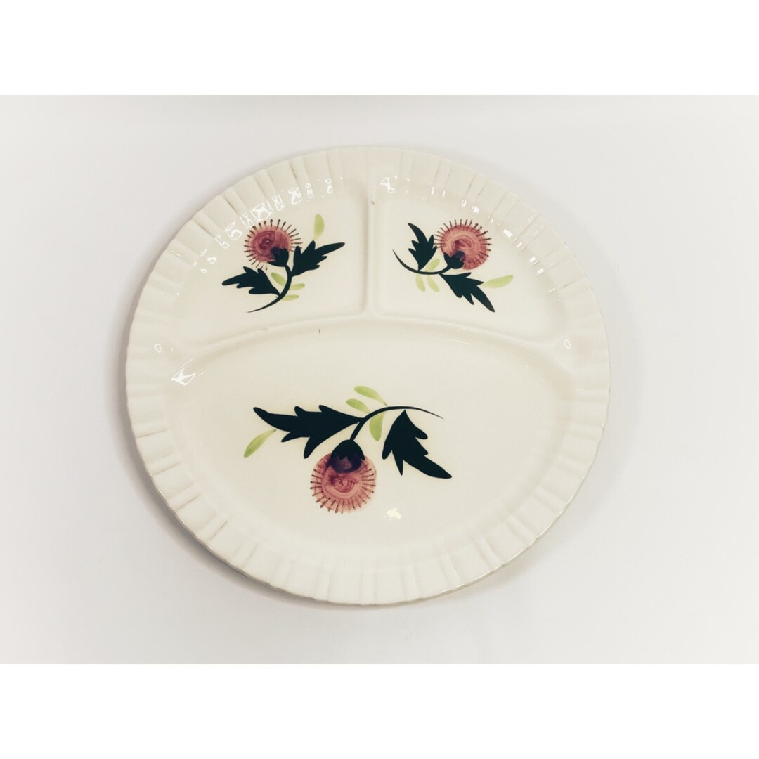 Vintage Stangl Pottery Grill Plate Divided Platter thistle Mid Century