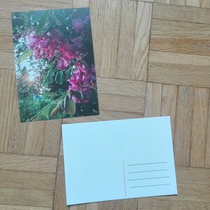 Cartes postales de printemps