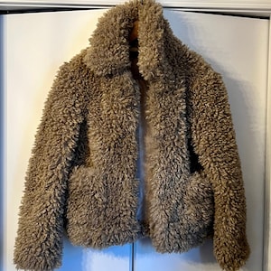 Zara Basic Sherpa Jacket