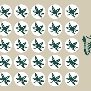 May include: A pattern of white circles with a dark green leaf design. The circles are arranged in rows and columns on a tan background. The text "T-Mac SPORTS" is in the lower right corner.