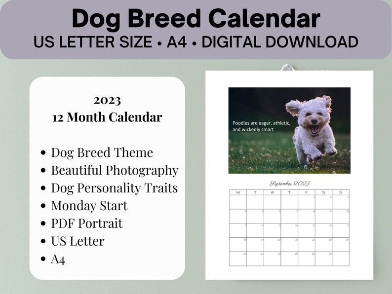 2023 Printable Dog Breed Calendar Etsy