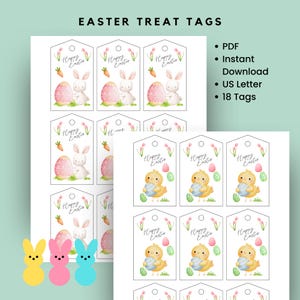 Easter Treat Tags, Printable Gift Tags, Easter Basket Tag, Easter Party Favor Gifts, School Treat Gift Tag, Easter Egg Hunt Instant Download