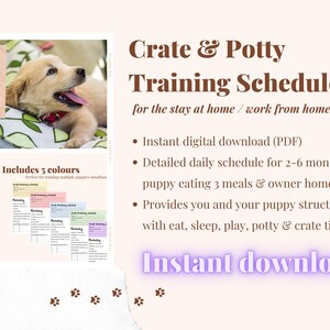 May include: Printable PDF download of a crate and potty training schedule for puppies. The schedule includes a daily routine for puppies 2-6 months old, with a focus on eating, sleeping, playing, potty breaks, and crate time. The image also includes a photo of a golden retriever puppy.