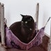 see more listings in the Luxury Pet Hammocks section