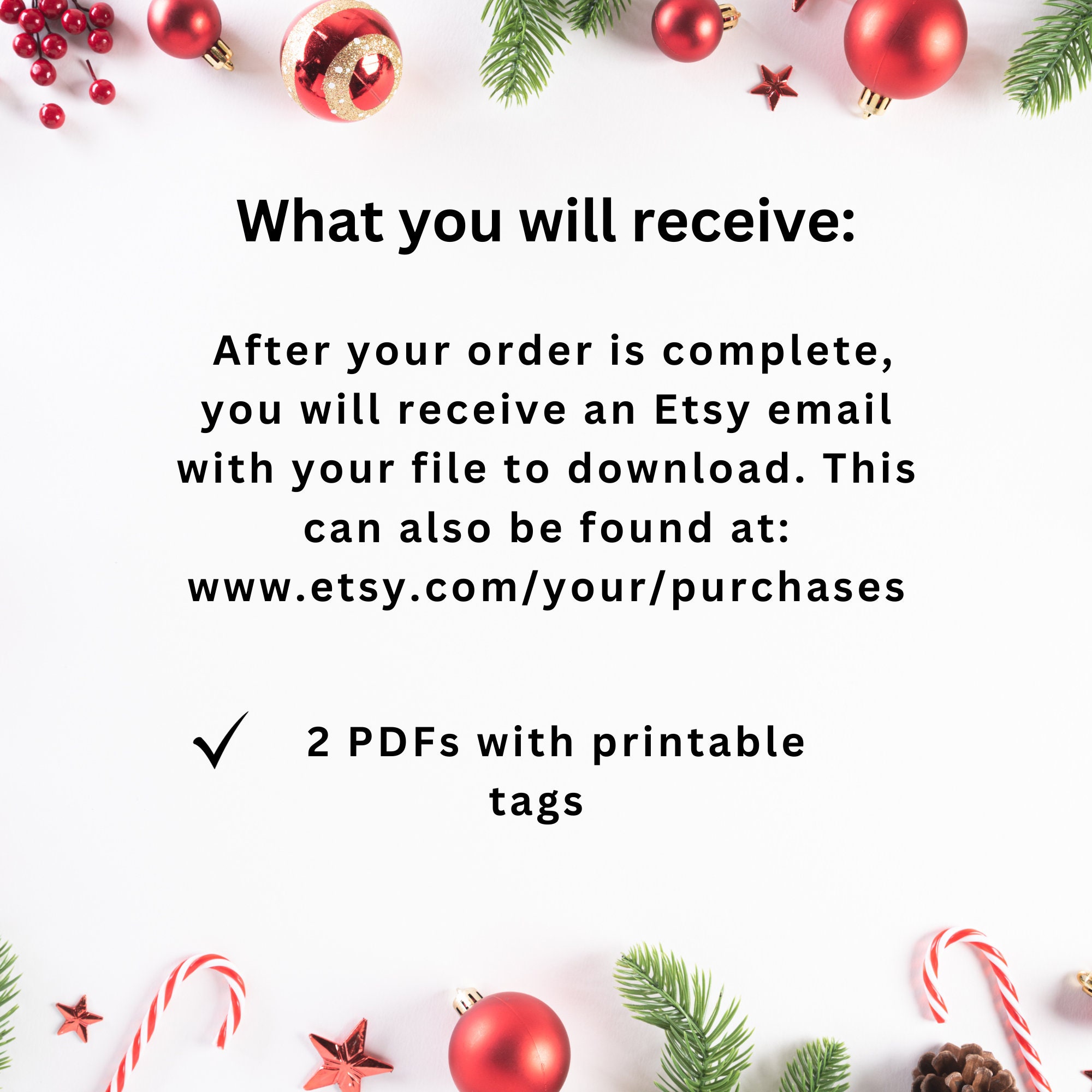 Santa's Magic Key Tags, Santa Key Tags Printable, Magical Christmas Key ...