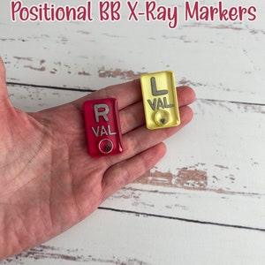 Not Small, Fun-Sized Positional BB X-Ray Markers