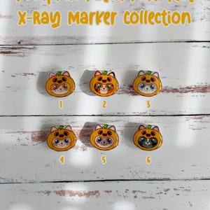 Collection de marqueurs à rayons X Pumpkin Patch Purr-fect