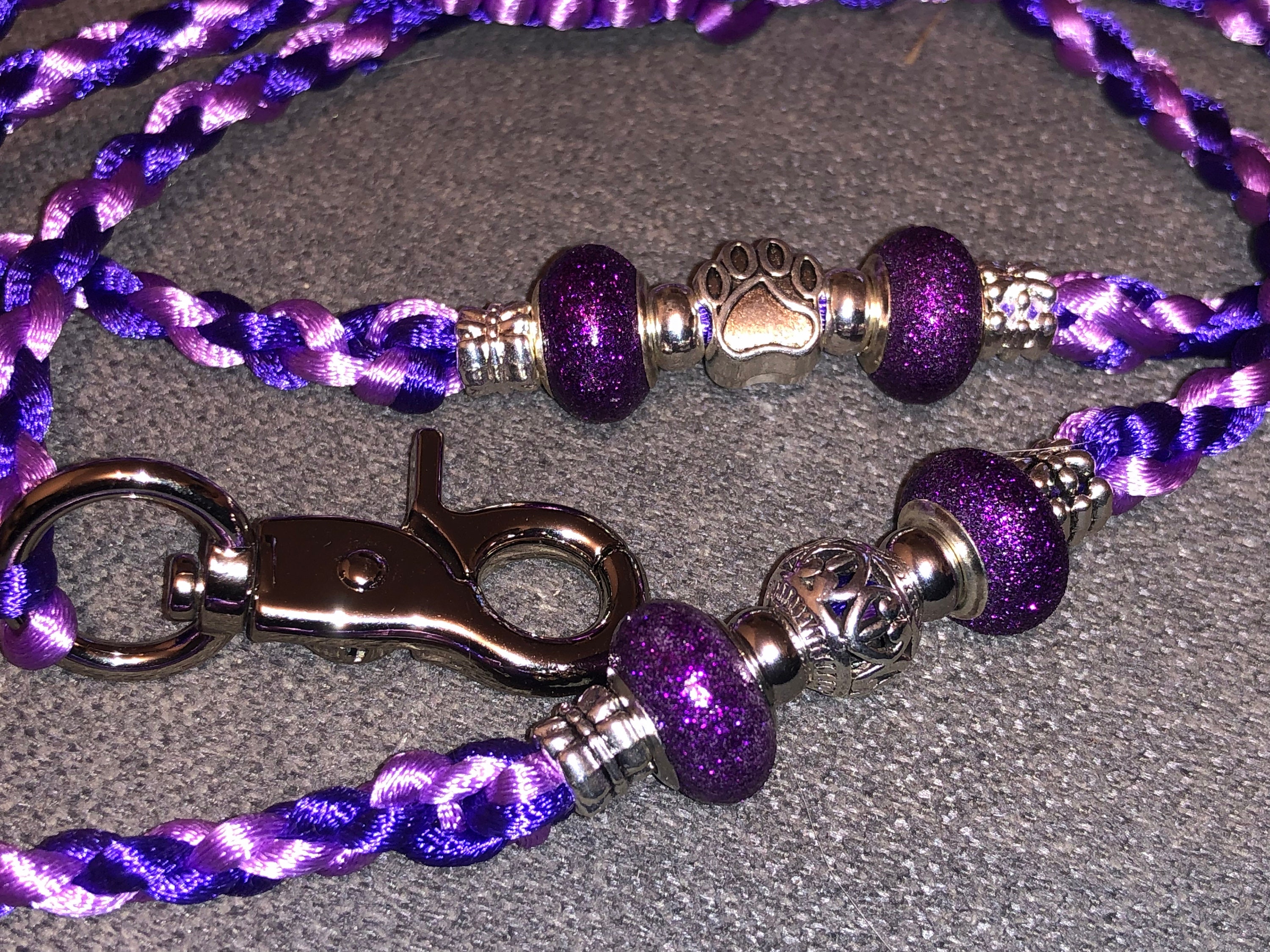 Laisse d'exposition Canine