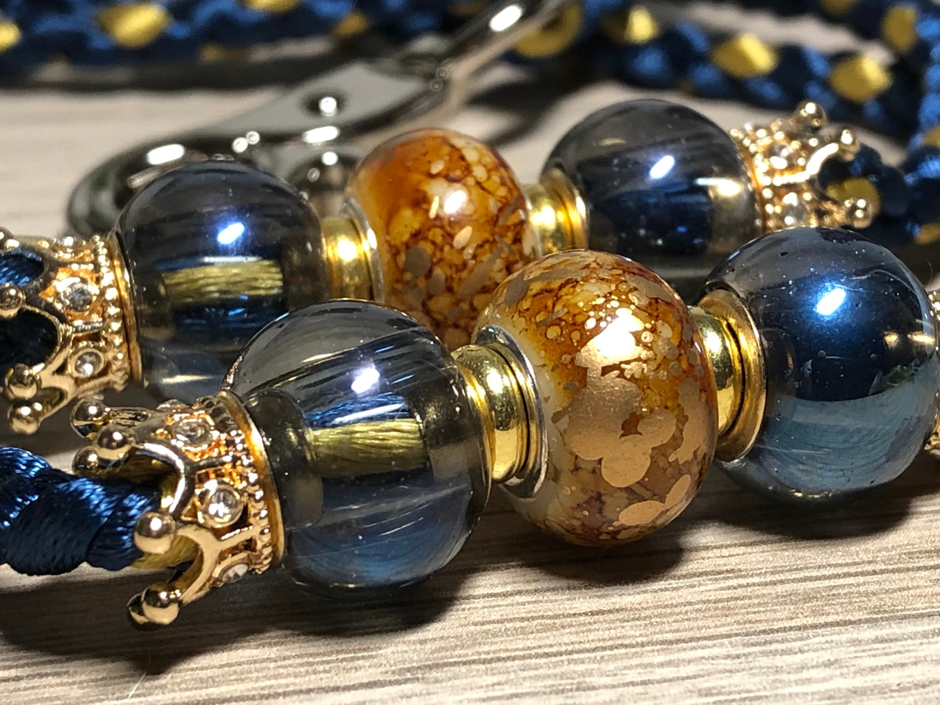 Laisse de Présentation