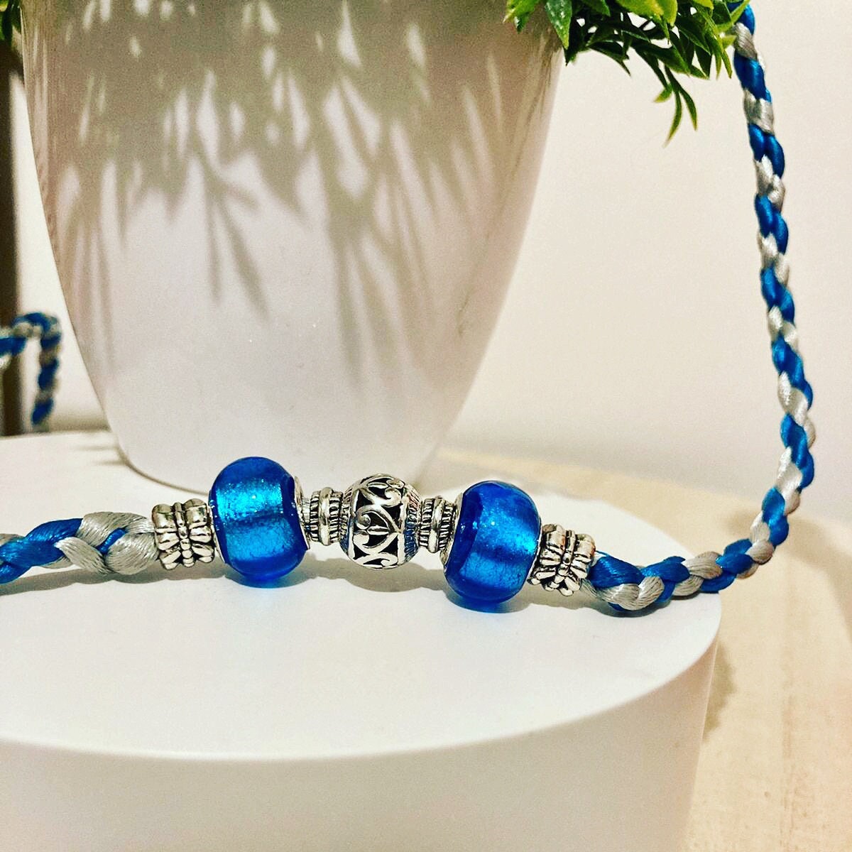 Laisse d'exposition Canine