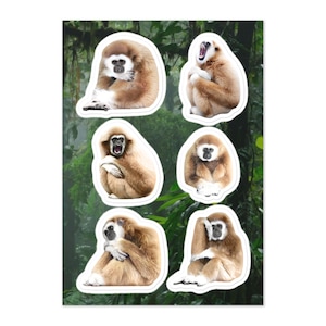 Op de afbeelding: Zes stickers met wit-handgibbons op een groene jungle achtergrond. De gibbons staan in verschillende poses, waaronder zittend, staand en omhoog kijkend.