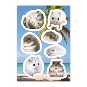 Silly Hamster Sticker Sheet
