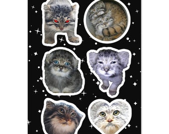 Pallas Cat Manul Cute Stickers