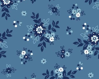 SIMPLY COUNTRY WB13418 DENIM