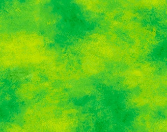 COLOR ME CHAMELEON   27493-G