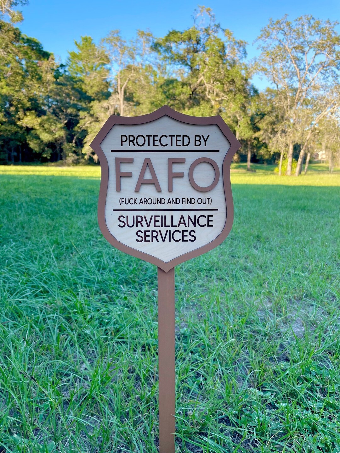 Surveillance Sign, Security Sign, Protected by FAFO, Warning Sign, Wood Sign, Entry Sign