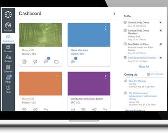 Online classes Assignment Help Homework help