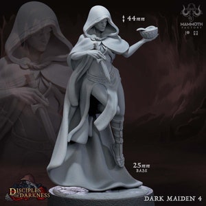 Dark Maiden by Mammoth Factory | D&D | Pathfinder