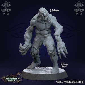 Fell Wanderer by Mammoth Factory | D&D | Pathfinder