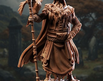 Odín - El vagabundo tuerto de DM Stash / D&D / Pathfinder
