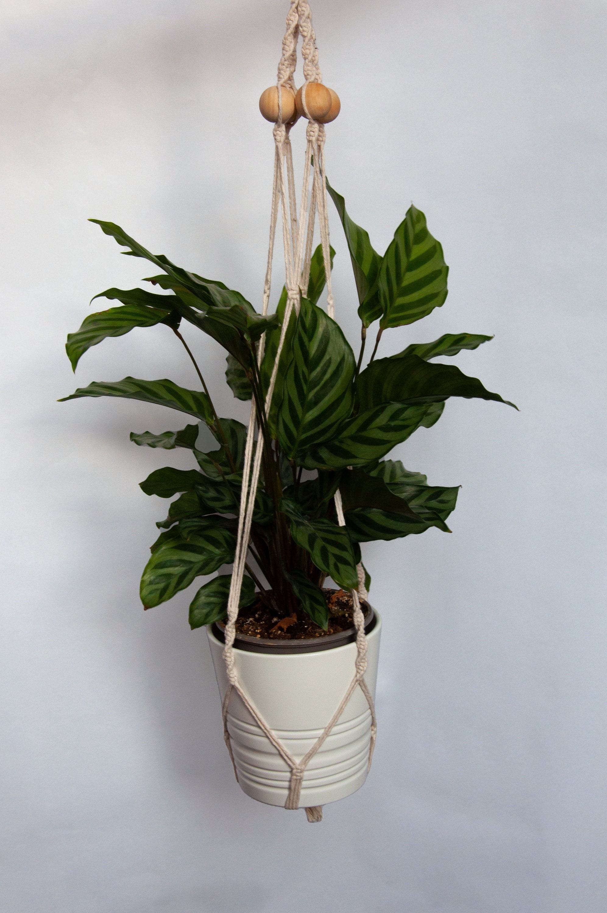 Suspension Cassiopée