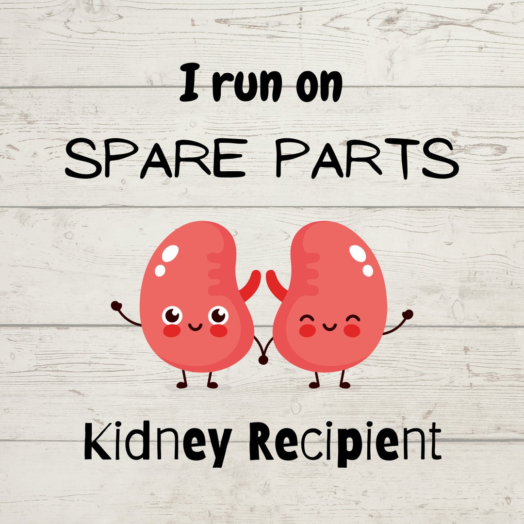 Kidney Recipient Svg, Kidney Donation Svg, Receive a Kidney, Transplant