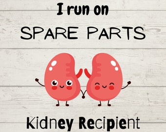 Kidney Recipient Svg, Kidney Donation Svg, Receive a kidney, transplant svg, donor svg, kidney disease, kidney donor