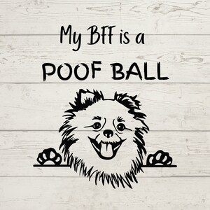 Pomeranian Svg, Peeking Pomeranian Dog, Pomeranian Lovers, Bundle, files for cricut, Bundle, Designs, Cricut Cutfile, Digital Download, PNG
