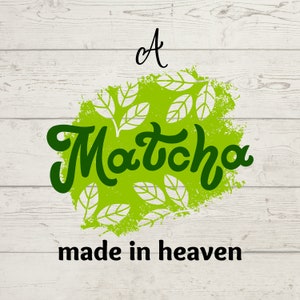 Matcha Svg, Matcha PNG, Matcha Files, Matcha Bundle, Matcha Cricut Cutfile, Silhouette, Digital Download