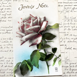 Lata 40. XX w. – pocztówka z różą i napisem „Joyeux Noël” / „Wesołych Świąt”