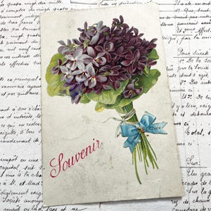 Anni 1900 - Cartolina con un bellissimo mazzo di piccoli fiori