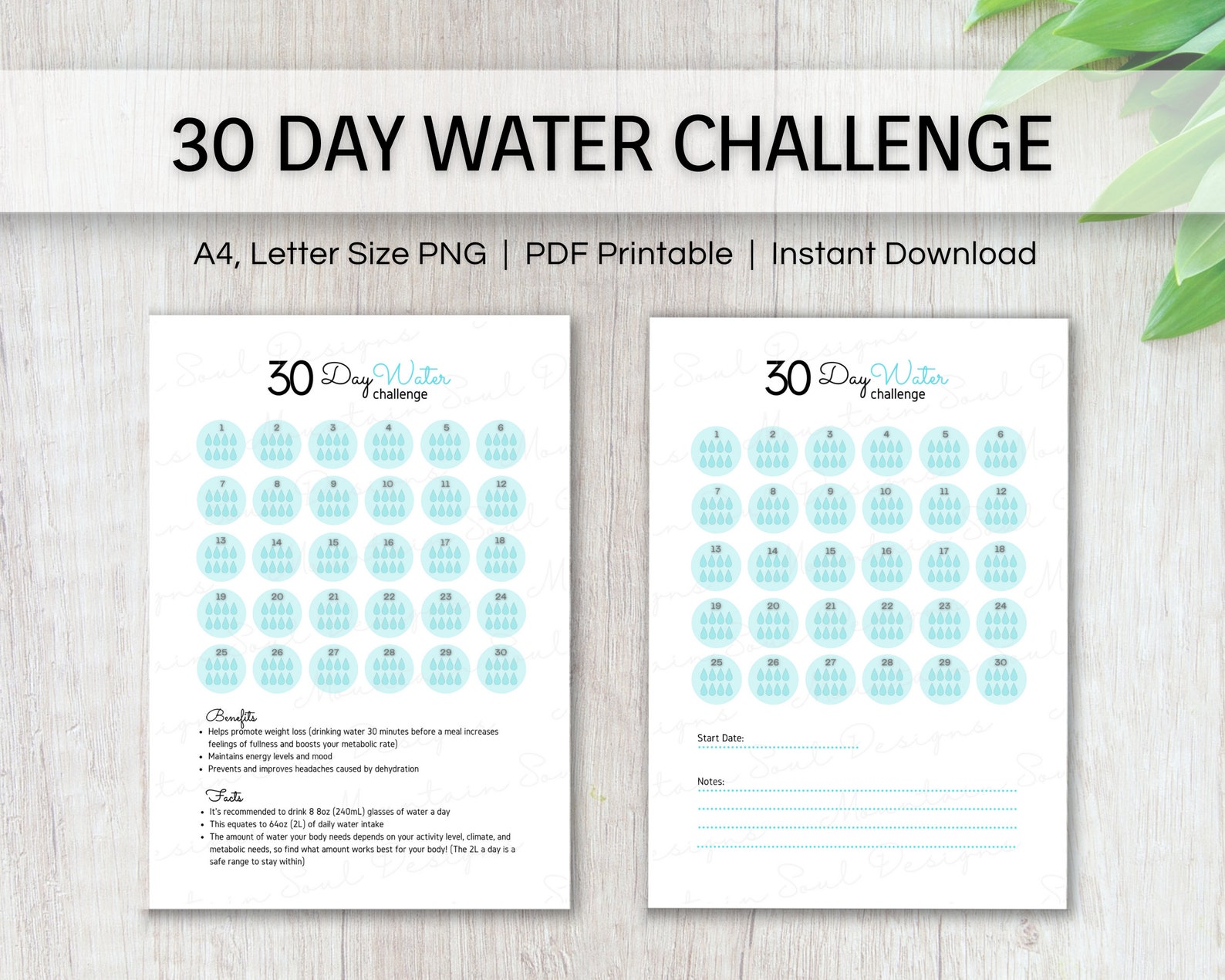 30 Day Water Challenge Printable Fitness Tracker and Planner | Etsy Canada