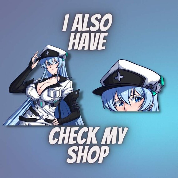 ESDEATH AKAME ga Kill Goddess Story Anime Waifu Doujin Card 2m08 SSR