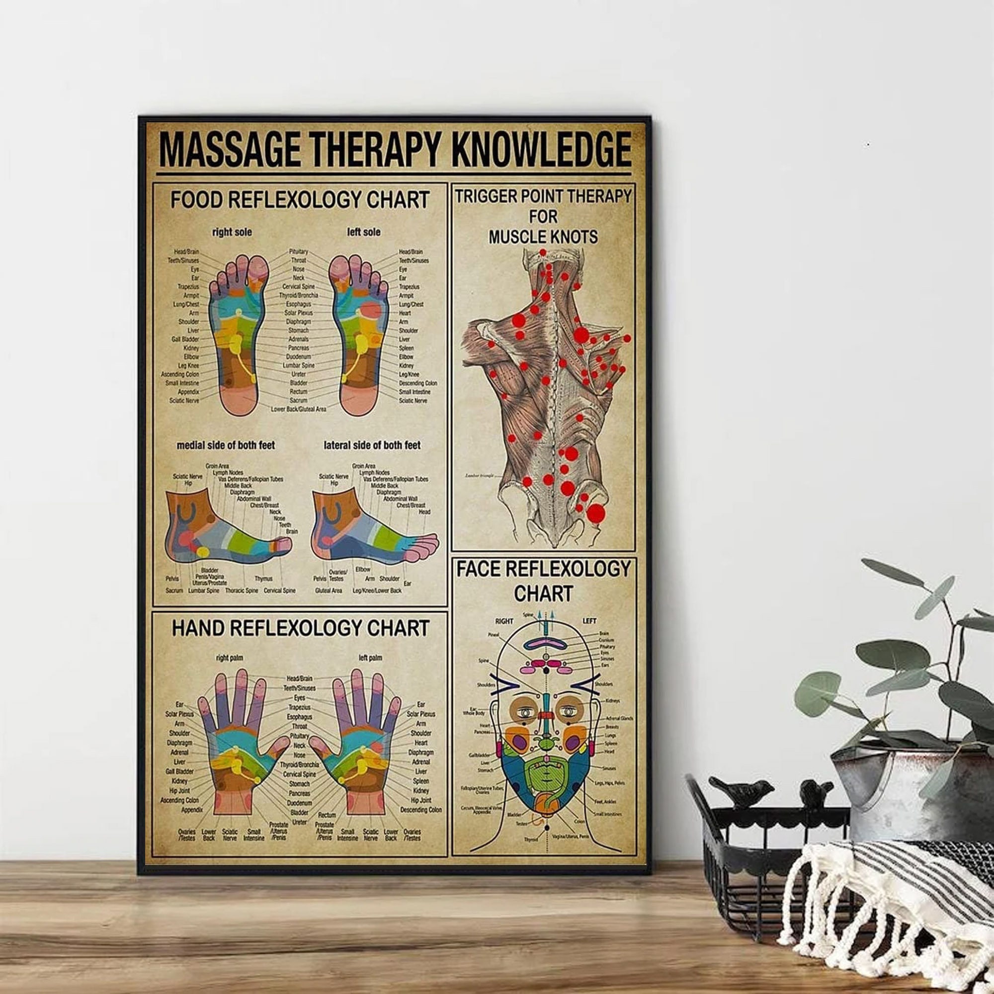 Foot Zoning Chart Etsy