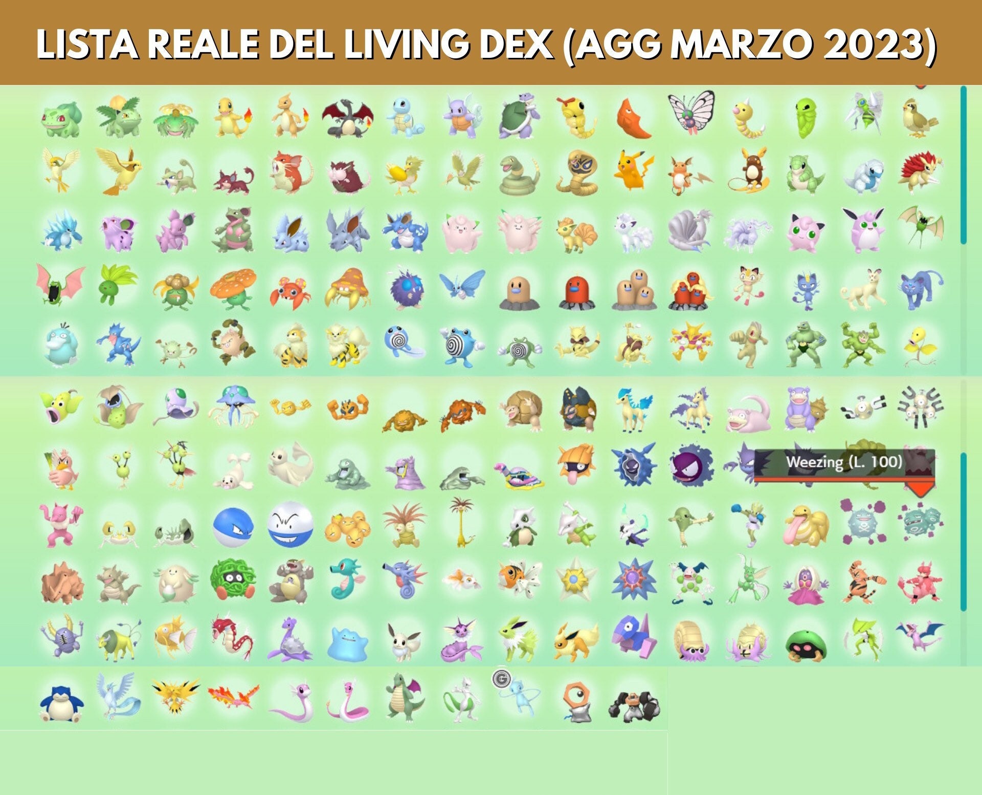 Pokemon 6029 Shiny Pikachu Libre Pokedex: Evolution, Moves