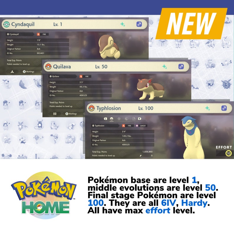 Pokémon Shiny ✨ E Non Per Leggende Arceus - Competitivi 6 IV Max Effort - Nuovi