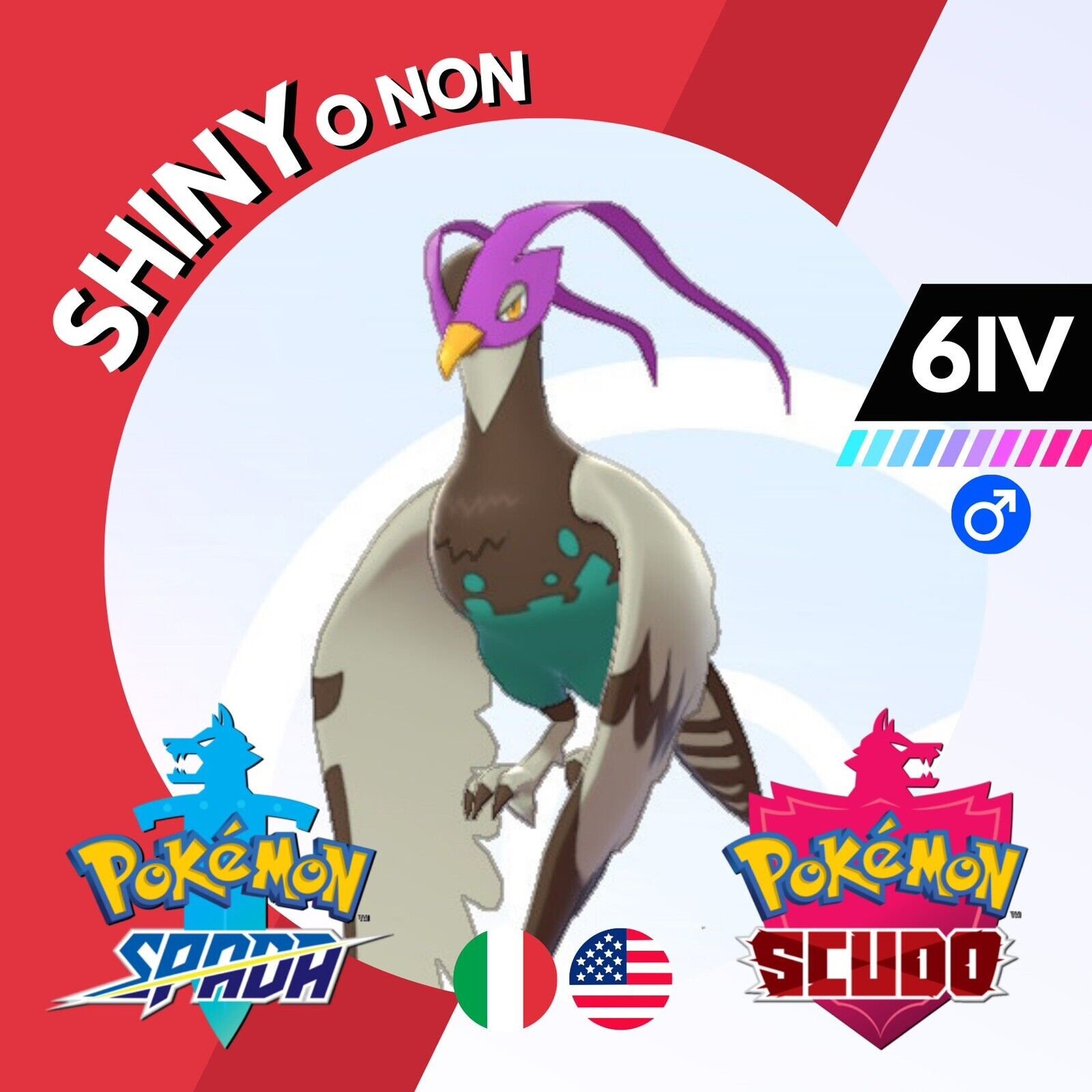 Unfezant Shiny O Non 6 IV Competitivo Legit Pokemon Spada Scudo Sword  Shield - Etsy