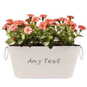 May include: White metal planter with two handles, filled with pink flowers and the text "Any Text" printed on the front.