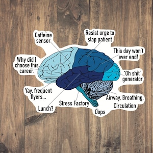 Brain of a Paramedic - Funny Medical decal | Medic Sticker | EMT Humor | Medical Stickers | Waterproof | Laptop | Water Bottle | Great Gift