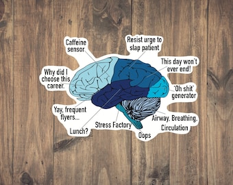 Brain of a Paramedic - Funny Medical decal | Medic Sticker | EMT Humor | Medical Stickers | Waterproof | Laptop | Water Bottle | Great Gift