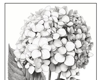 30 Printable Grayscale Coloring Pages with flowers, for kids and adults. Bouquets of flowers, flowering branches, summer flowers.  Vol.1