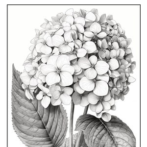30 Printable Grayscale Coloring Pages with flowers, for kids and adults. Bouquets of flowers, flowering branches, summer flowers.  Vol.1