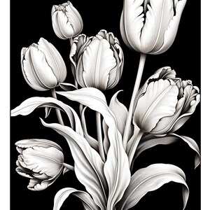 Pu&ograve; includere: Un'illustrazione in bianco e nero di un mazzo di tulipani bianchi con petali arricciati. I tulipani sono disposti in un vaso e hanno steli lunghi e sottili.