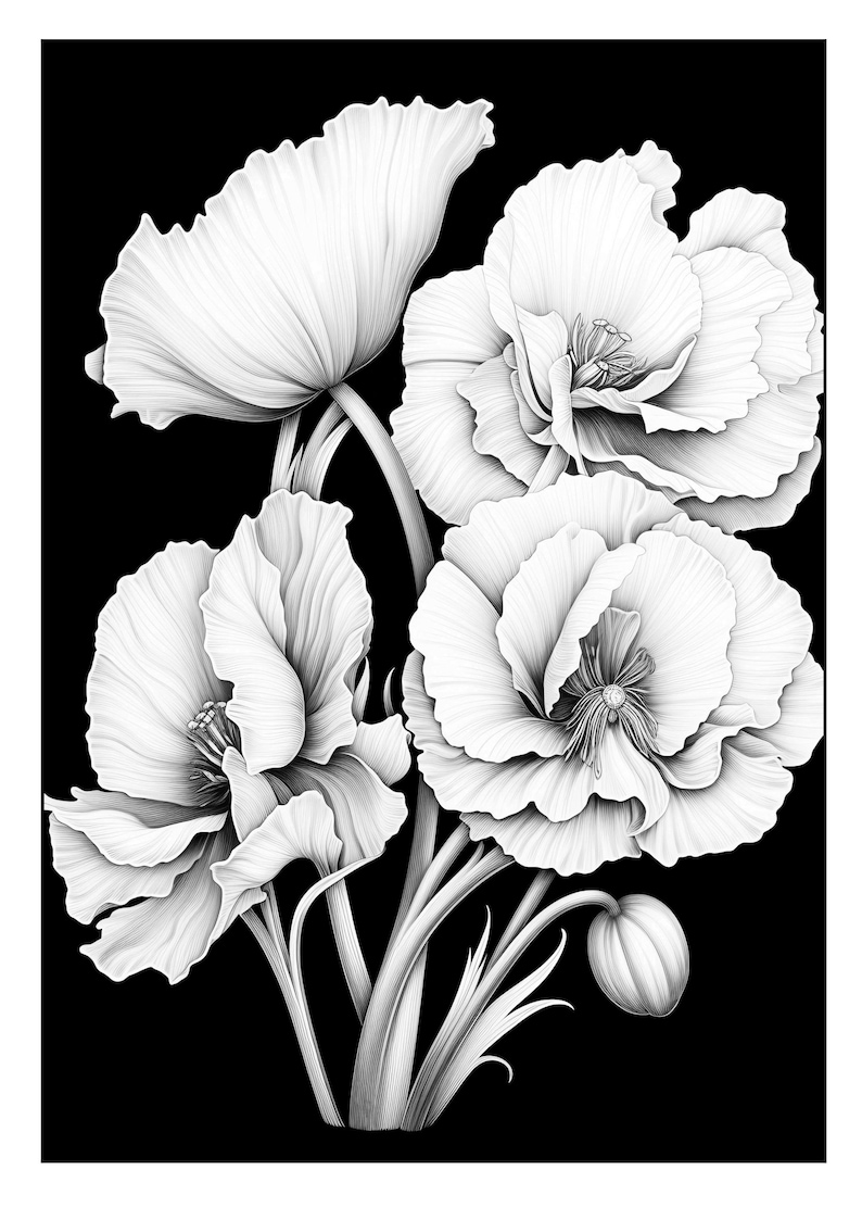 Pu&ograve; includere: Un'illustrazione in bianco e nero di quattro papaveri con un bocciolo. I fiori sono disegnati in uno stile realistico con petali e steli dettagliati.