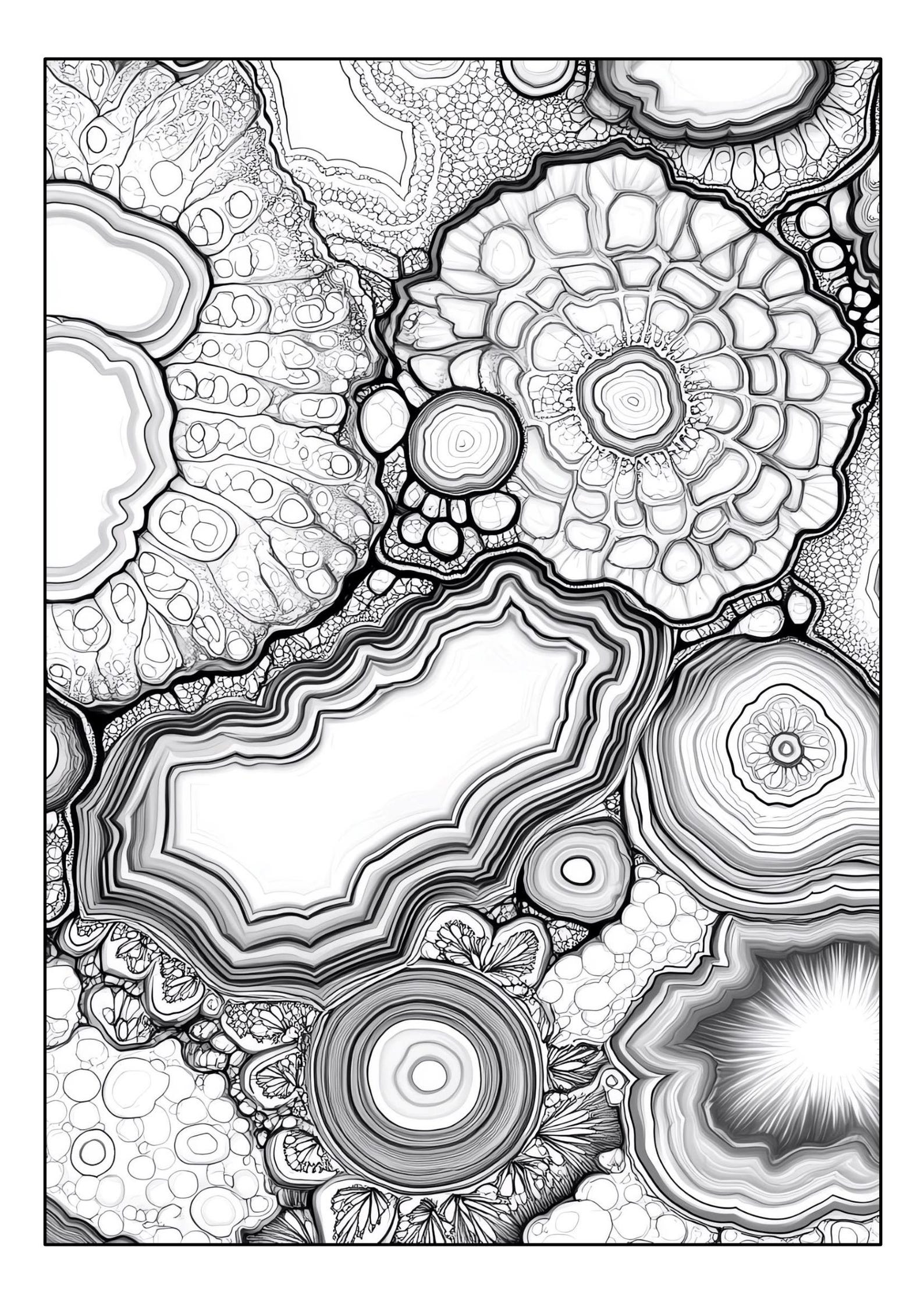 Stone Pattern Coloring Pages Set of 32 Printable Coloring Pages With Small Agate Stones in Section ...
