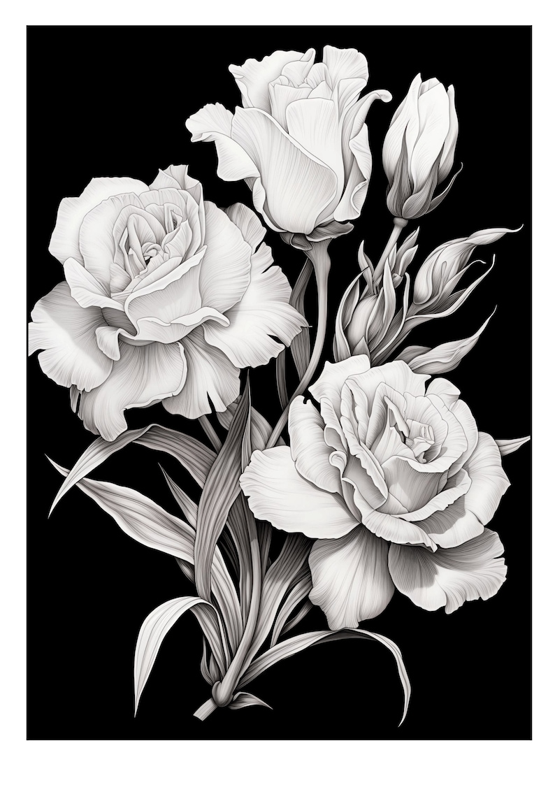 Pu&ograve; includere: Un'illustrazione in bianco e nero di un mazzo di rose con foglie. Le rose sono in diverse fasi di fioritura, alcune sono completamente aperte e altre sono ancora in bocciolo.