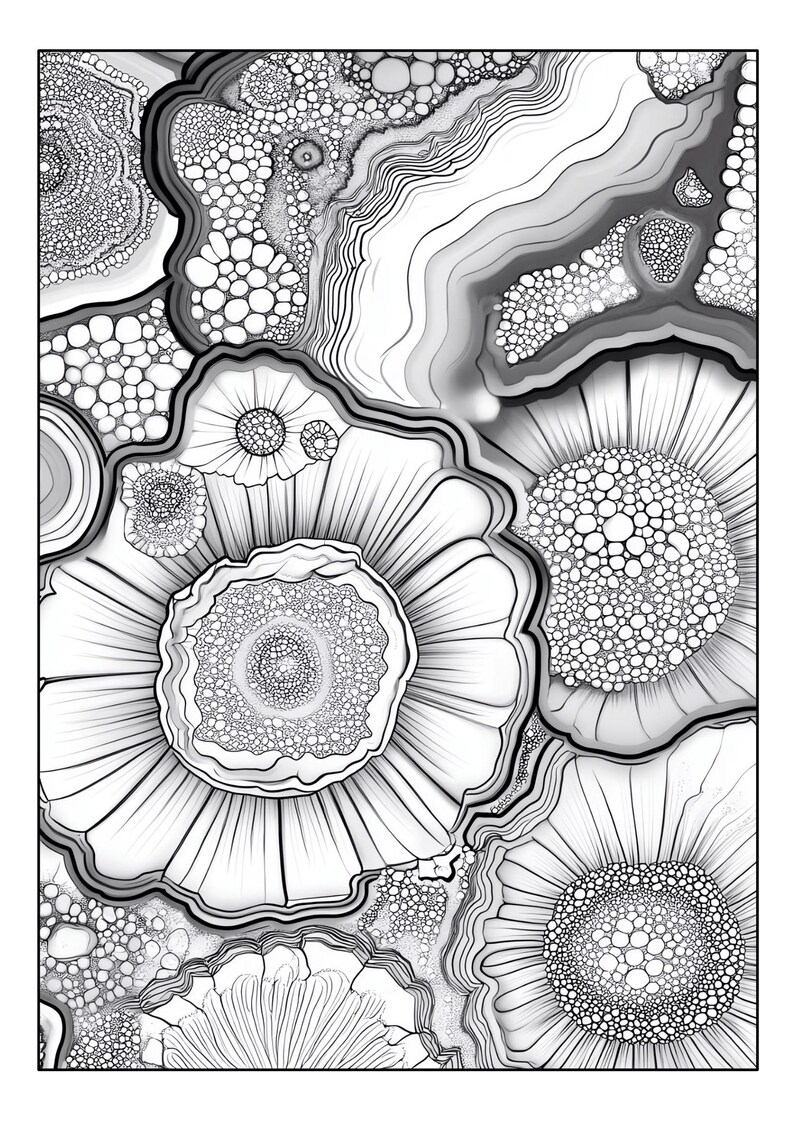 Stone Pattern Coloring Pages Set of 32 Printable Coloring Pages With Small Agate Stones in Section ...