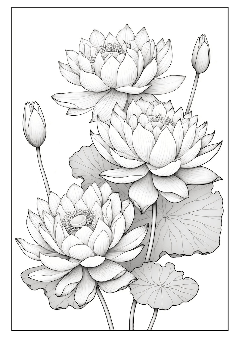 30 Printable Grayscale Coloring Pages With Flowers, for Kids and Adults ...