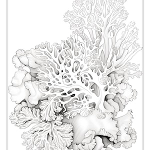 May include: A black and white line drawing of a cluster of coral. The coral is depicted in a realistic style, with intricate details of the branches and polyps.