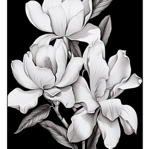 Pu&ograve; includere: Illustrazione in bianco e nero di tre fiori di magnolia con foglie su uno sfondo nero.